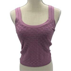Abercrombie & Fitch Scoop Neck Purple Preppy Checkered Tank Top Sweater Vest